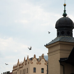 Aerial view of rooftops in Krakow. Birds flying
