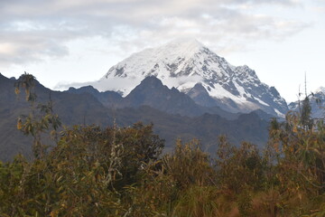 Hiking in the beautiful lush green cloud forests and Andes Mountains on the Inca Trail in Peru