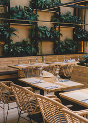Imagen de planta s tropicales en el interior de un restaurante