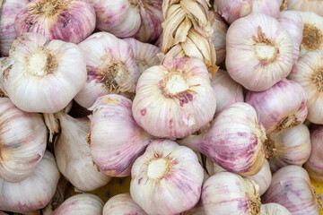 Garlic on Market in Provence