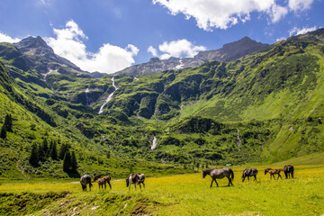 Das Naßfeld in Sportgastein
