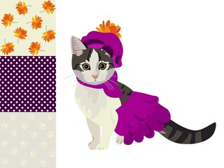 Beautiful kitty fashionista in knitted skirt, scarf and beret with a pom-pom from cosmos flower isolated on white background and samples of matching fabrics. Symbol of Chinese year of the cat, 2023. - obrazy, fototapety, plakaty