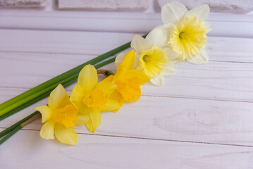Spring narcissus flowers lay on white wooden table in a bouquet. Soft selective focus, copy space for text