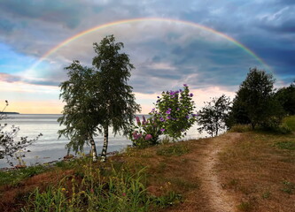 rainbow at sea ,   flowers bush and birch trees on  sunset wild beach  field on front sea water wave view on blue dramatic cloudy sky summer nature landscape