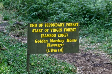 no sign on grass in rwanda Bamboo zone