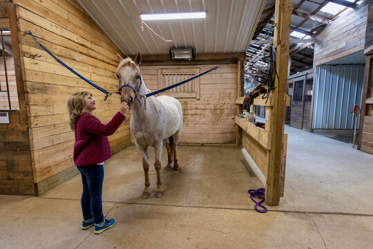 Young girl with a horse in a stall