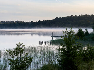 Lac d'Arjuzanx - Landes