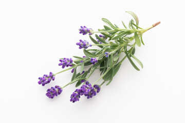 Obraz premium Flowers composition, frame made of lavender flowers on pastel background.