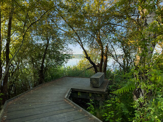 Lac d'Arjuzanx - Landes