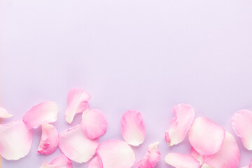 Rose flowers petals on pastel background. Valentines day background. Flat lay, top view, copy space.