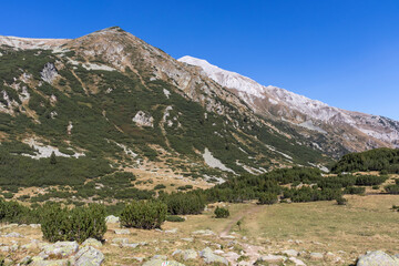 Fototapeta na wymiar Landscape near Banderitsa River at Pirin Mountain, Bulgaria