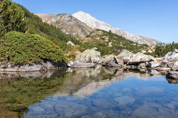 Landscape near Banderitsa River at Pirin Mountain, Bulgaria