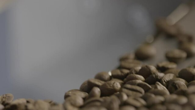 Coffee Roaster Beans Close up