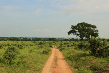 Obraz premium road in the field in uganda