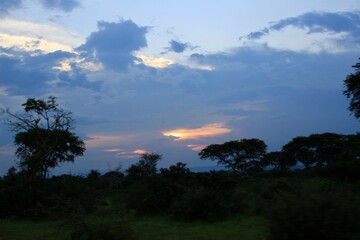 sunset in the forest in uganda