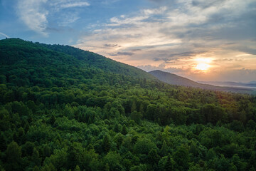 Aerial view of green pine forest with dark spruce trees covering mountain hills at sunset. Nothern...