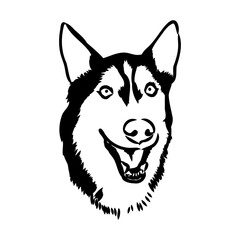 Husky isolated on white background. Stencil. Dog silhouette.