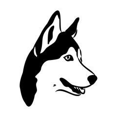 Husky isolated on white background. Stencil. Dog silhouette. © Elala 9161