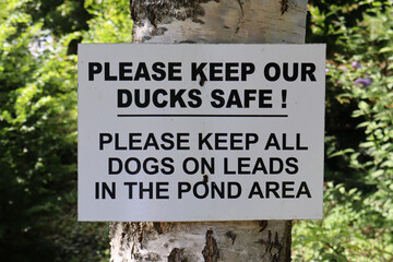 Sign near the duck pond in East Quantoxhead in Somerset requesting that dogs are kept on a lead in the pond area in order to prevent ducky carnage.