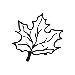 Naklejka premium Halloween Autumn Leaf clipart 