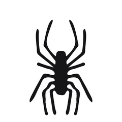 Hand drawn spider. Halloween simbol