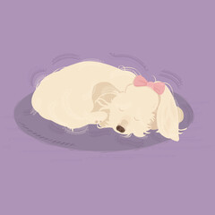 Cute Dog Sleeping with pink bow - obrazy, fototapety, plakaty