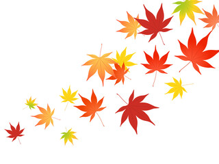 舞う紅葉_ベクターイラスト