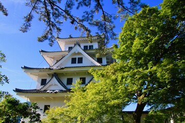 郡上八幡城（岐阜県・郡上市）