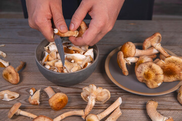 Cooking edible mushrooms. Vegetarian food. Food rich in protein and fiber.