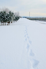 Snowy road with only your own footprints