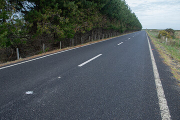 Puerto Saavedra - Araucanía - Chile