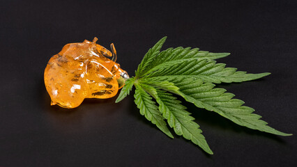 high thc, pieces of golden yellow cannabis wax and green leaf, marijuana concentrate on dark...