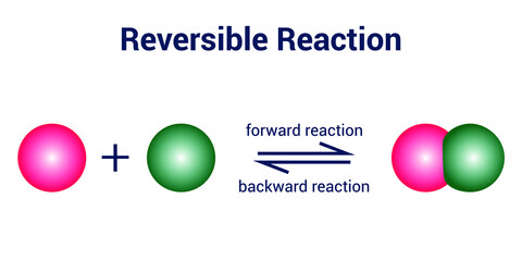 Reversible reaction and dynamic equilibrium. chemical reaction vector illustration on white background