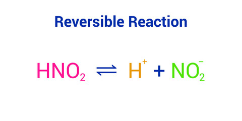 reversible reaction example in chemistry