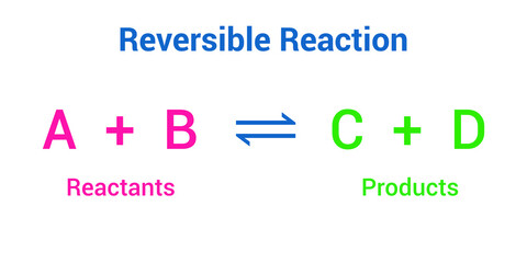 reversible reaction formula in chemistry