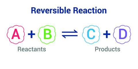 reversible reaction formula in chemistry