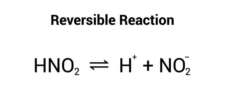 Reversible Reaction Example In Chemistry