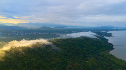 Misty landscape with fir forest on a Foggy Morning.