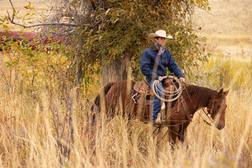 Obraz premium Wyoming Cowboy with Rope