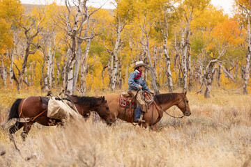 Wyoming Cowgirl