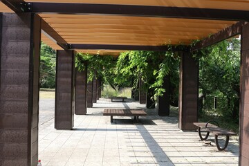 Japanese summer wisteria trellis.