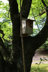 Japanese summer birdhouse.