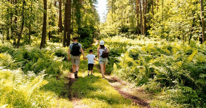 Family walking in the woods 