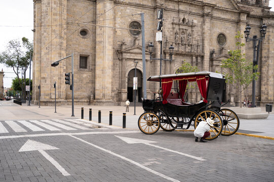 La calandria de motor el&eacute;ctrico est&aacute; con su chofer en frente de la Catedral de Guadalajara en el Centro Hist&oacute;rico. 
