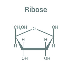 chemical structure of Ribose (C5H10O5)