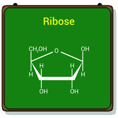 chemical structure of Ribose (C5H10O5)