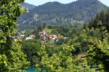 The Alps are a tall and long mountain range in Europe.