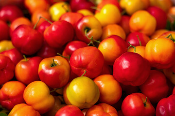 red and yellow acerola cherry