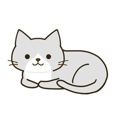 くつろぐシンプルなハチワレグレー猫