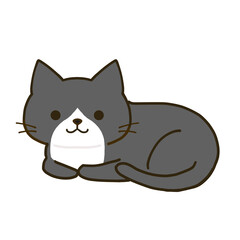 くつろぐシンプルなハチワレ黒猫